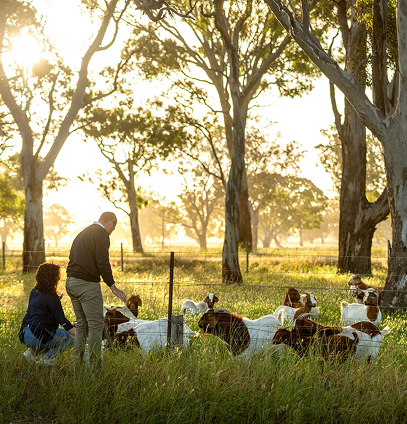 Frame 2087325248 (1)