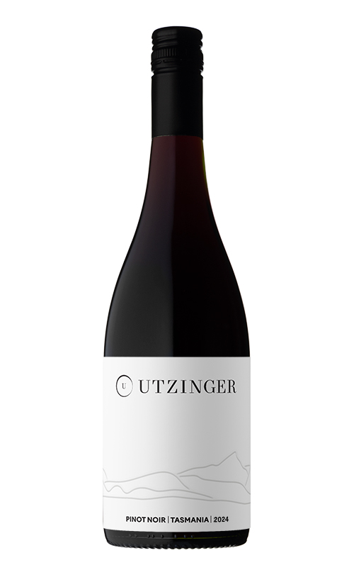 Pinot Noir 2024-web